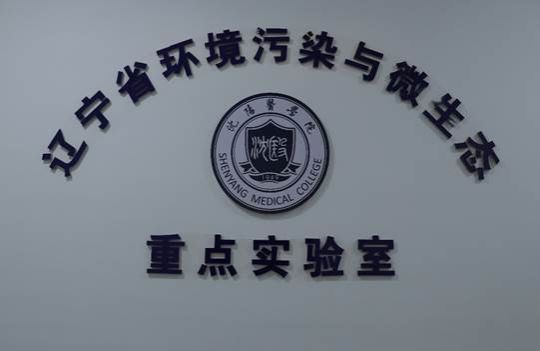 2025-09-19 17:01:37.253000